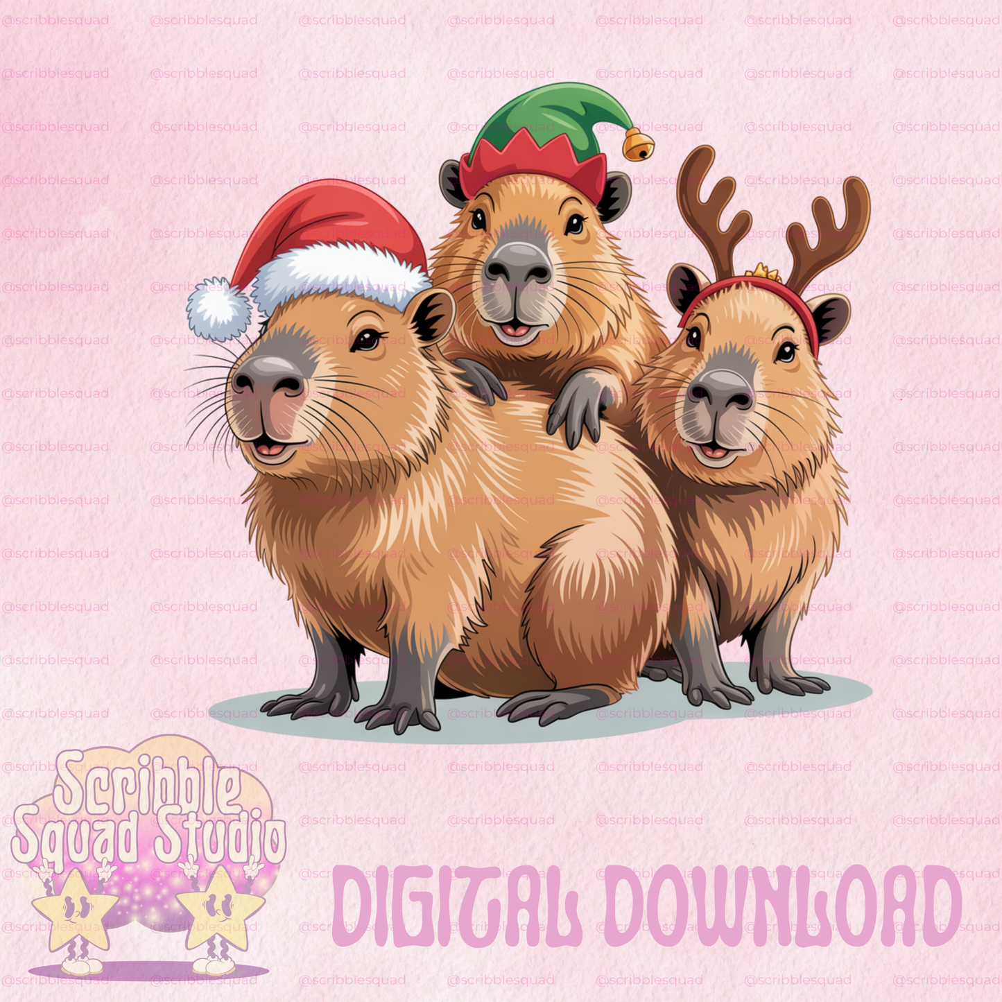 CAPI CHRISTMAS PNG