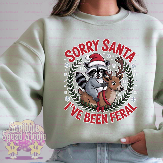 SORRY SANTA PNG