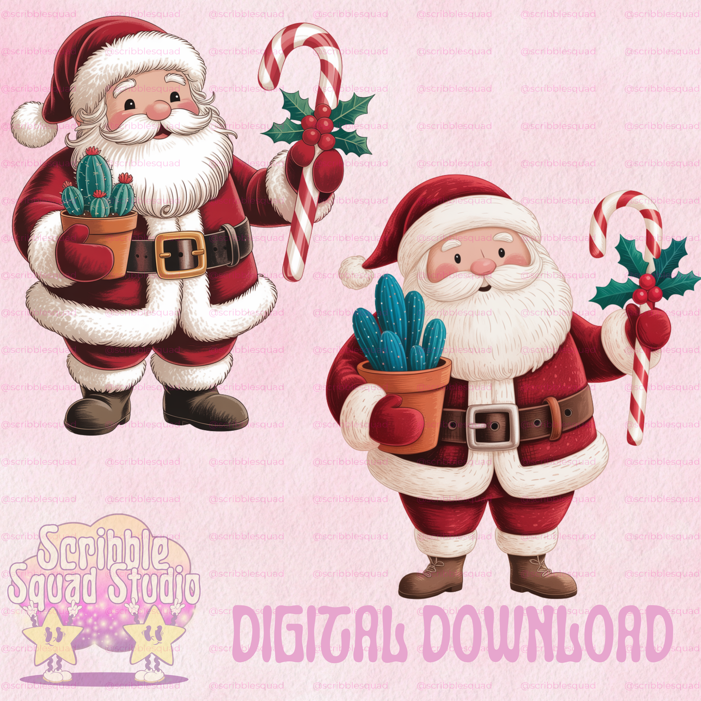 SANTA SUCCULANT PNG
