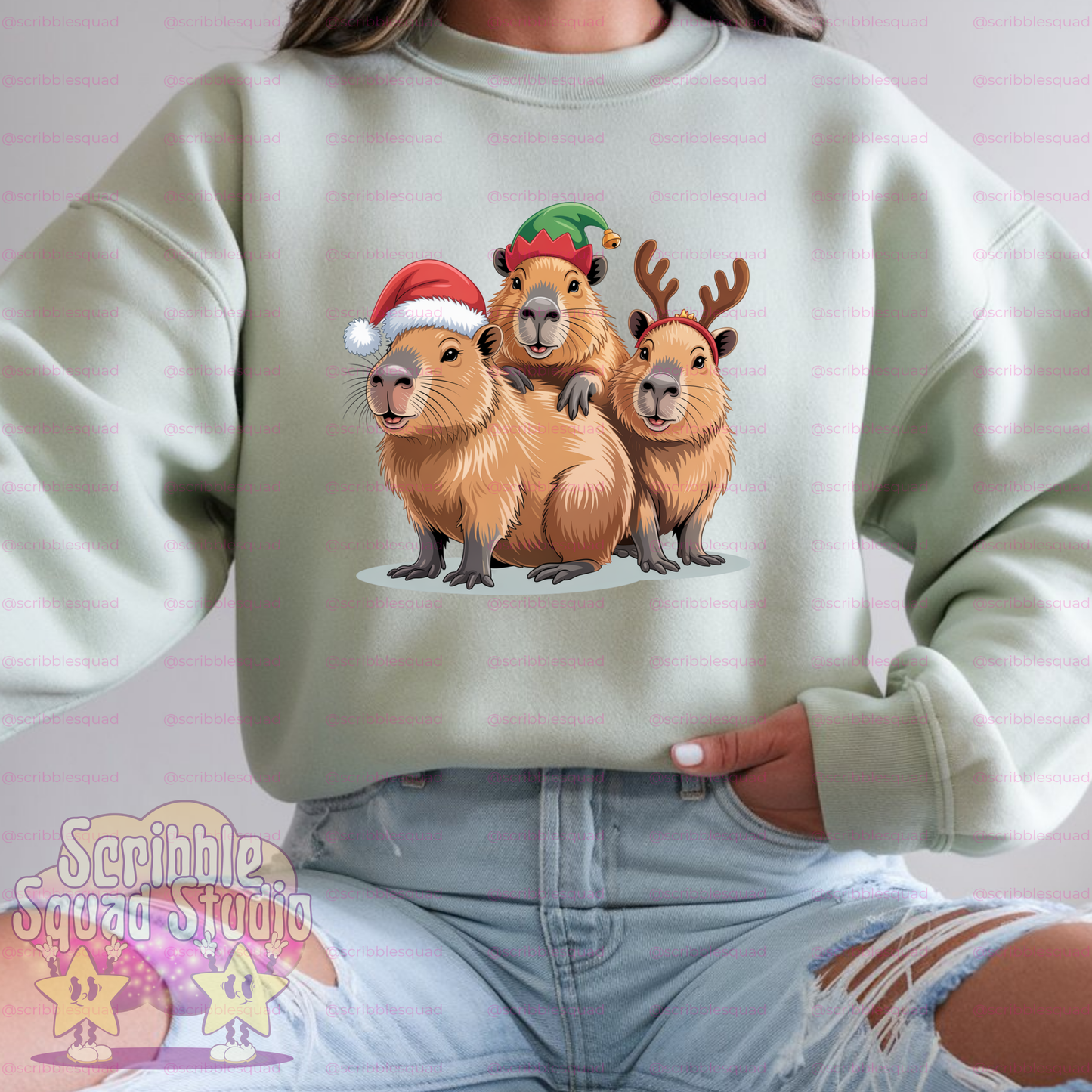 CAPI CHRISTMAS PNG